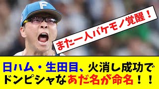 日ハム・生田目、火消し成功でピッタリなあだ名が命名！【なんJなんG反応】【2ch5ch】 [upl. by Airreis]