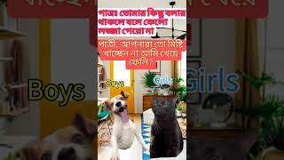 Dog funny video [upl. by Allehc638]