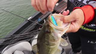 The RIGHT Set Up For Fishing Crankbaits  Rod Reel and Line Selection [upl. by Eilssel]