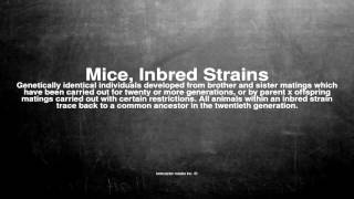 Medical vocabulary What does Mice Inbred Strains mean [upl. by Sirotek716]