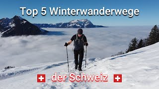 Die 5 schönsten Winterwanderwege der Schweiz [upl. by Aluap]