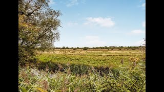 WarnerGray Estate Agents Appledore Kent Country property for sale Stunning rural views [upl. by Oicnedurp]