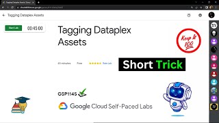 Tagging Dataplex Assets  GSP1145  Solution [upl. by Ear]