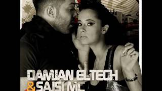 Damjan Eltech amp Sajsi MC  Ono Kao Vau Audio [upl. by Navannod]