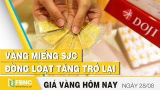 Giá vàng hôm nay 2882020  Vàng miếng SJC đồng loạt tăng trở lại  FBNC [upl. by Cecilius]