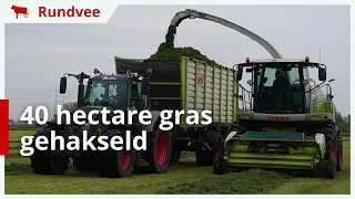 40 hectare gras gehakseld en ingekuild in HazerswoudeDorp [upl. by Scrivenor397]