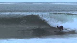 Kelly Slater and friends RIPPING Lowers [upl. by Aneeres]