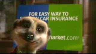 Official Compare the Meerkat Advert by Aleksandr Orlov [upl. by Ahtnamas]