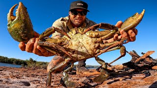 ATRAPANDO Y COCINANDO UN CANGREJO DE BARRO GIGANTE  SIN COMIDA [upl. by Laurette825]