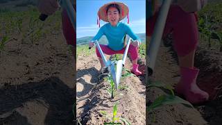 Amazing Seedling Planting Tool for Rural Farmer  Modern Agriculture shorts tool youtubeshorts [upl. by Naul]