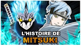 Histoire de Mitsuki Boruto [upl. by Alad]