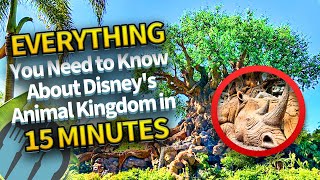 Everything You Need to Know About Disneys Animal Kingdom in 15 Minutes [upl. by Adlez]