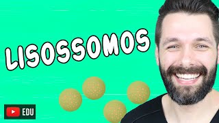 LISOSSOMOS E DIGESTÃO CELULAR  Citologia  Biologia com Samuel Cunha [upl. by Giacobo111]