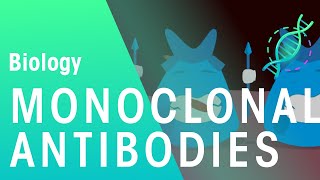 Monoclonal Antibodies  Health  Biology  FuseSchool [upl. by Bitthia]