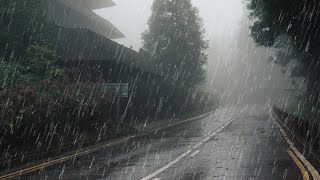 Maravilloso Sonido de Lluvia para Dormir Relajante Estudio Meditación  Lluvia en Bosque Brumoso [upl. by Garzon]