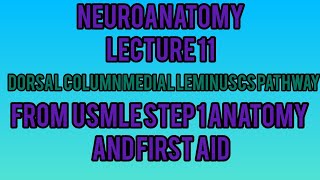 Neuroanatomy Dorsal Column Medial Leminsucus PathwayAlong with Diagramatic Explaination [upl. by Ynaiffit]