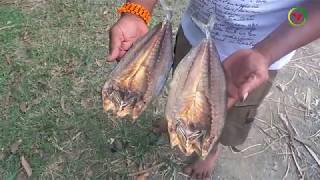 Spicy Dried Fish Recipe Uppu Chepa fry Dry Salt Fish Fry  Village Survival Food [upl. by Fredia]