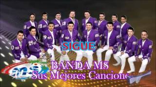 Banda MS Sigue 2013 [upl. by Weinrich551]