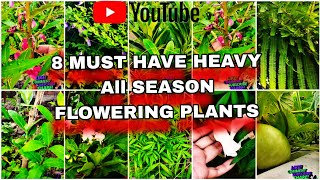 Best 8 Winter Flowering Plants  Winter Garden Overview 202425gardenideasBalajiGardenByJagriti [upl. by Eltotsira42]