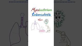 Mycobacterium tuberculosis  Tuberculosis TB  Microbiology…nurse doctor biology mbbs study [upl. by Ransome959]