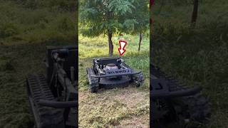 This Machine Clears Bushes in Just Minutes shortsvideo [upl. by Llennyl955]