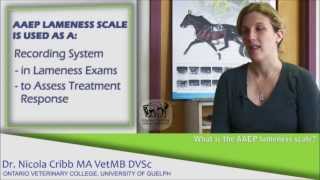 What are the signs a horse may be lame  Dr Nicola Cribb [upl. by Aivun]