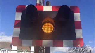 LEVEL CROSSINGS IN THE UK 2017 [upl. by Enymzaj681]