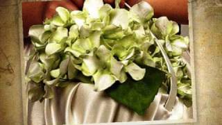 Naturaleza Exquisita Arreglos y decoracionesNovias y banquetesFlores preservadas [upl. by Mehs]