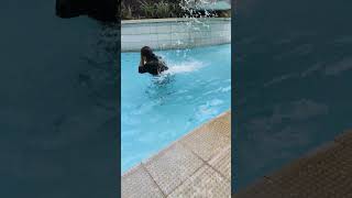 libreng massage swimming [upl. by Akiret]