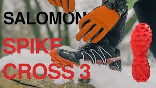 Обзор Salomon Spikecross 3 Брат знаменитых Speedcross трейловые кроссовки для зимыбега по льду [upl. by Zetana]