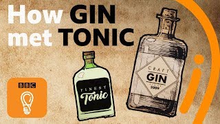 The hidden history of gin and tonic  Edible Histories Episode 1  BBC Ideas [upl. by Anastase247]