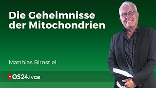 Von Mitochondriopathie bis Long Covid Mitochondrien verstehen und stärken  Teil 1  QS24 [upl. by Atselec]