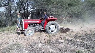 Massey MF 240 Tractor with Tine Cultivator [upl. by Assirrak31]