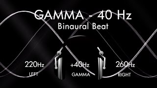 Gamma for a Genius Brain  1hr Pure Binaural Beat Session at 40Hz Intervals [upl. by Truc212]