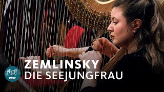 Zemlinsky  Die Seejungfrau  Ingo Metzmacher  WDR Sinfonieorchester [upl. by Brosine]