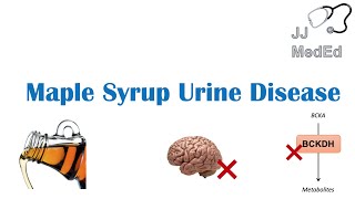 Maple Syrup Urine Disease  Pathogenesis Signs amp Symptoms Subtypes Diagnosis and Treatment [upl. by Ikcin]