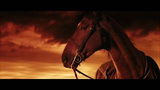 War Horse film 2011 TRAILER ITALIANO [upl. by Ennoved49]