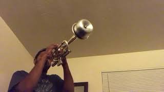 Smooth jazz trumpet with mute [upl. by Lodi]