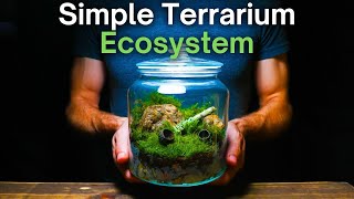 Building a Terrarium From The Forest Floor  Native Terrarium Tutorial [upl. by Akzseinga418]