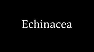 How to pronounce Echinacea [upl. by Clarice687]