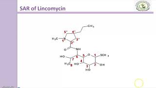 Lincomycin antibiotics [upl. by Anav]