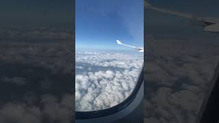 Chennai 🇮🇳 to frankfurt 🇩🇪  Lufthansa airways  Flight meal travel chennai frankfurt [upl. by Doone967]