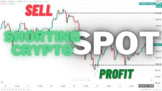 Make Profit With Shorting Bearish Market on Crypto SPOT Trading  Urdu Hindi [upl. by Cynth621]