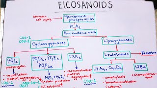 Eicosanoids pharmacology PROSTAGLANDINS made EASY and QUICK [upl. by Atnahsal]