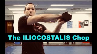 Lower Back Exercises  The Iliocostalis Chop [upl. by Accever]