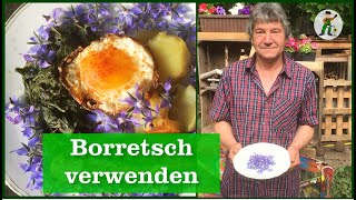 Borretsch ernten und verwenden [upl. by Biddie]