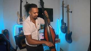 On My Way to Harlem  Gregory Porter bass Cover [upl. by Creath203]