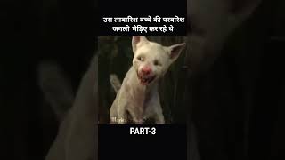 उस लावारिस बच्चे की परवरिश जंगली भेड़िये कर रहे है part03 shorts [upl. by Adon]