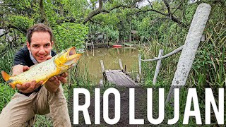 PESCANDO SOLO BAJO LA LLUVIA EN UN ARROYO LLENO DE PECES Y NATURALEZA [upl. by Ardaed]