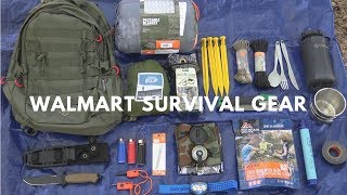 Overnight 250 Walmart Survival Challenge [upl. by Alla]